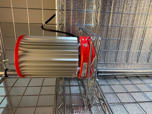 チランジア,ティランジア,エアープランツ,Tillandsia,チランドシア