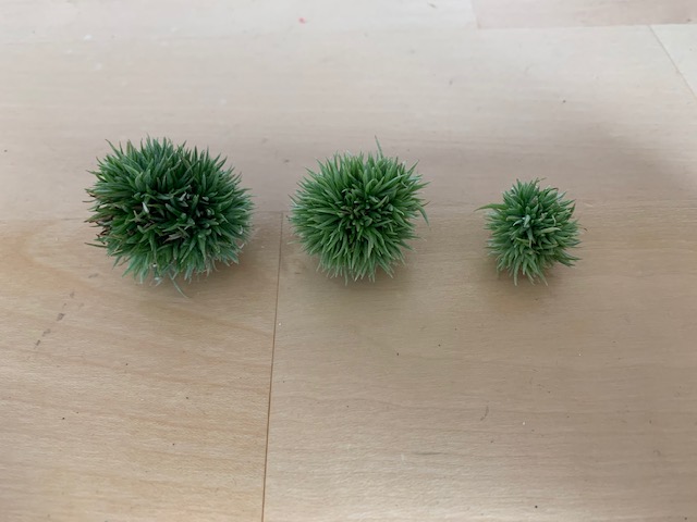 チランジア,ティランジア,エアープランツ,Tillandsia,チランドシア