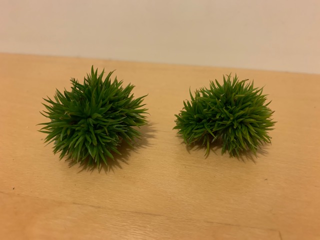 チランジア,ティランジア,エアープランツ,Tillandsia,チランドシア