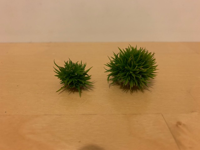 チランジア,ティランジア,エアープランツ,Tillandsia,チランドシア