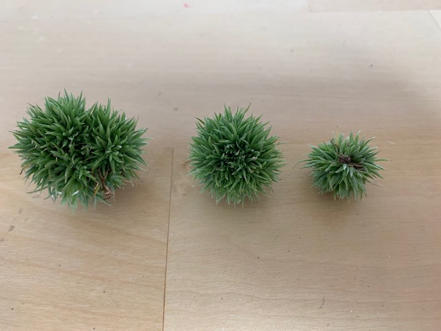 チランジア,ティランジア,エアープランツ,Tillandsia,チランドシア