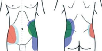 �����_�o�u���b�N,�_�o�u���b�N,�G�R�[�K�C�h,����,�摜